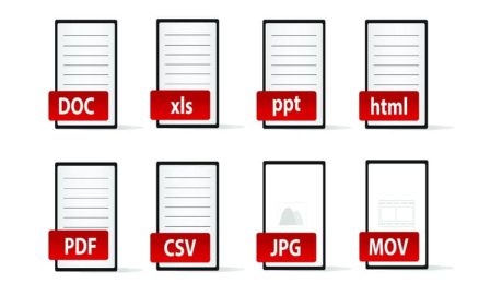 Portuguese Document Translation