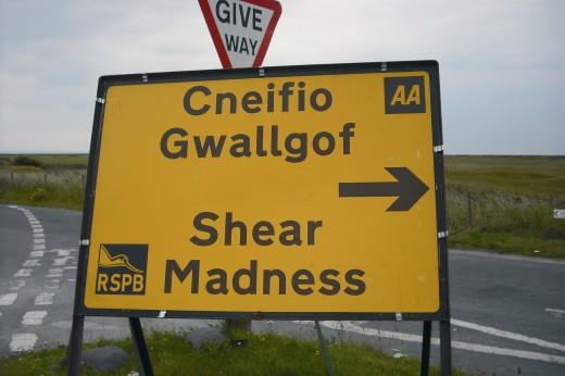 Welsh translation blunder